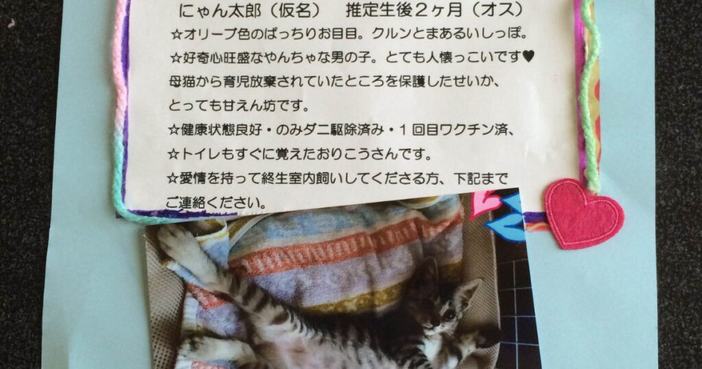 【昔、保護したにゃん太郎】里親探しポスター