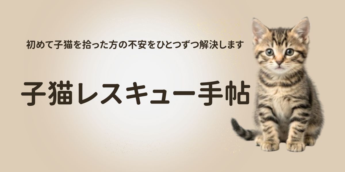子猫レスキュー手帖