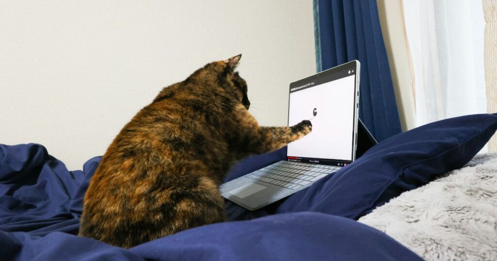 パソコンを触る猫